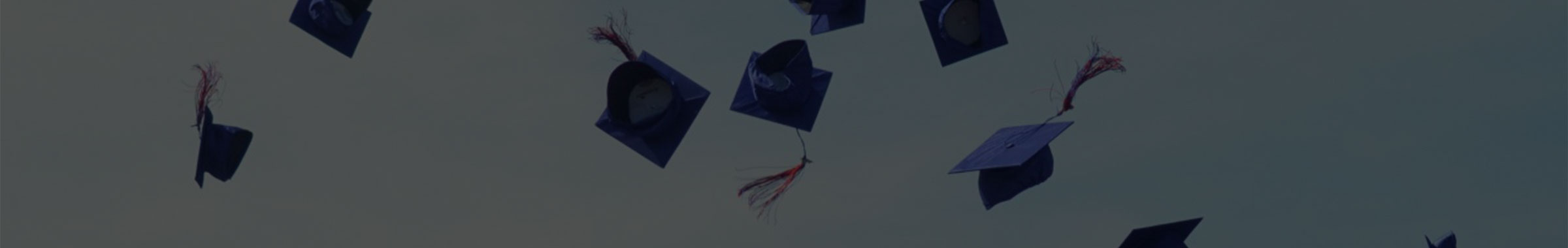 AFSA Scholarships - Vimarsana News